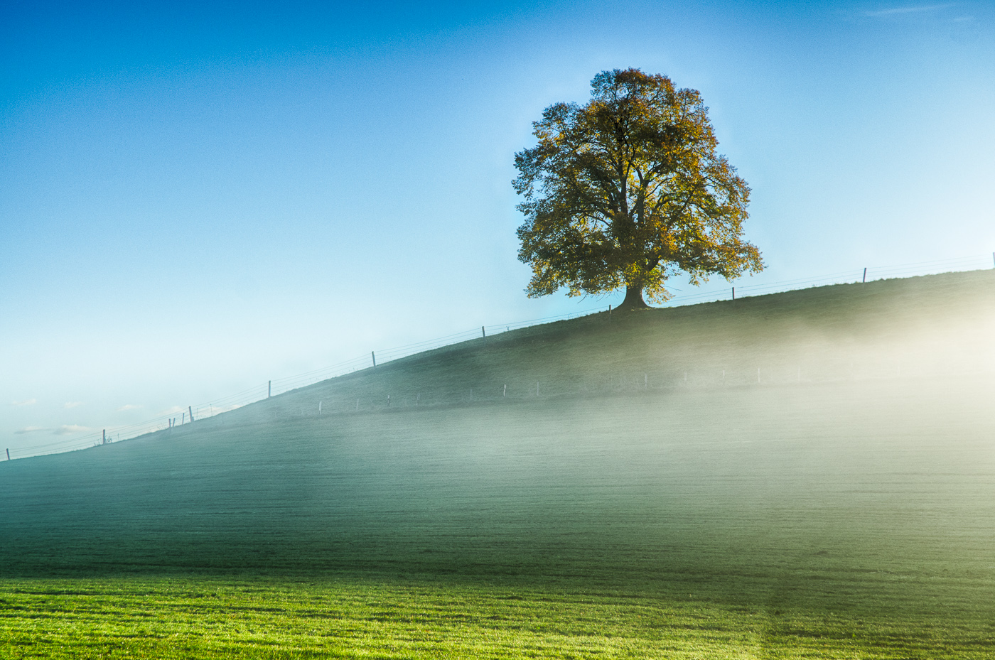 Herbsttrends