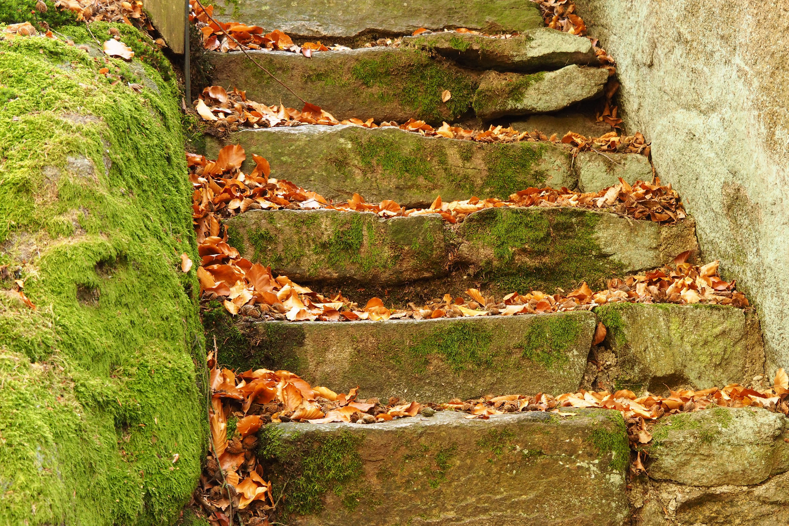 Herbsttreppe