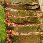 Herbsttreppe