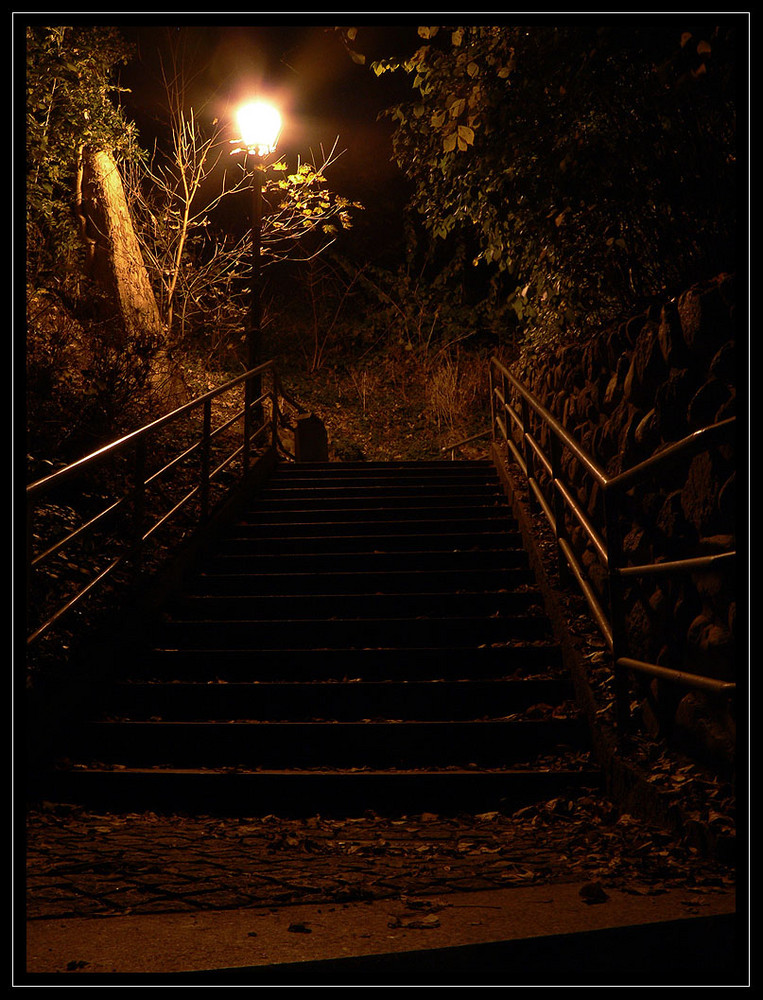 Herbsttreppe bei Nacht