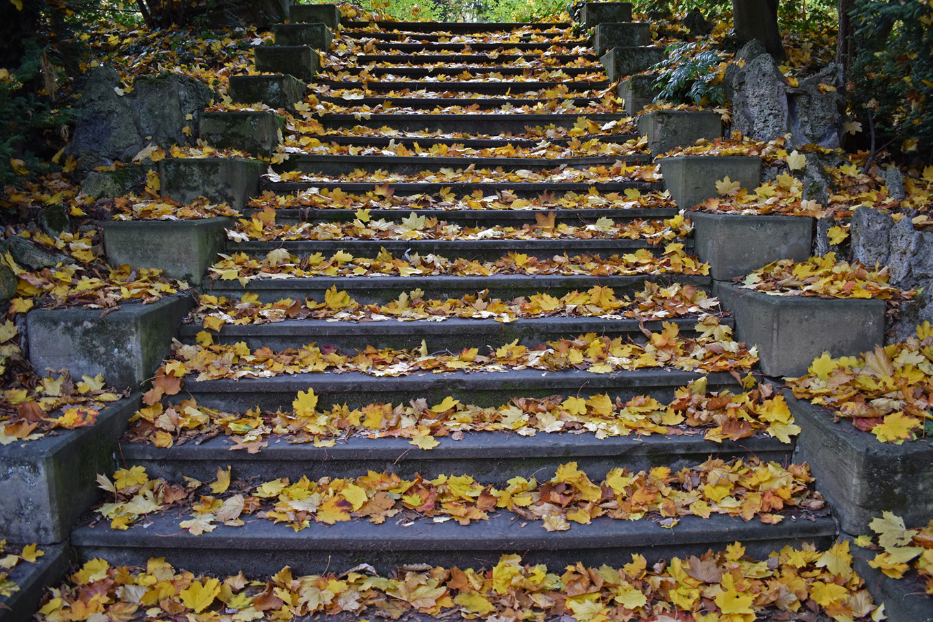 Herbsttreppe