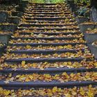 Herbsttreppe