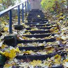 Herbsttreppe