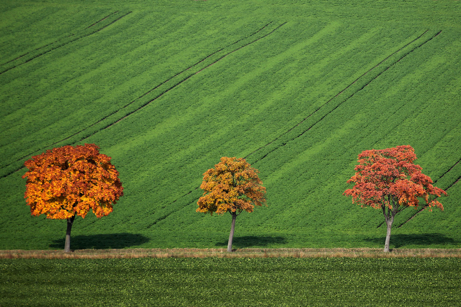 HerbstTrio