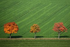 HerbstTrio