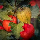 Herbsttrio