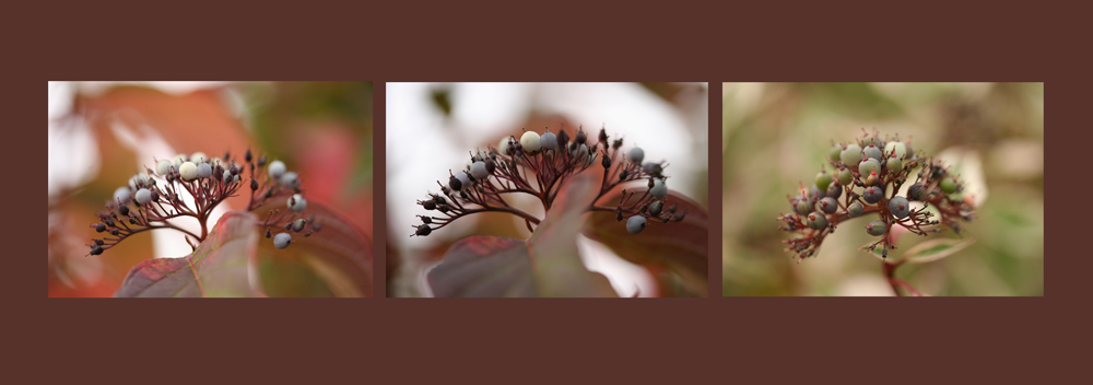 Herbsttrio