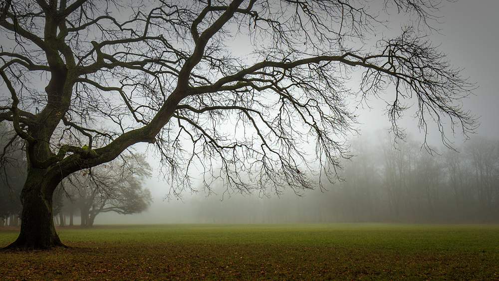 .herbst.tristesse.