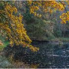 Herbsttümpel