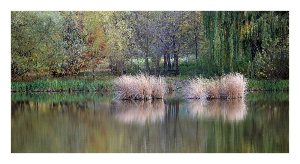 Herbsttümpel