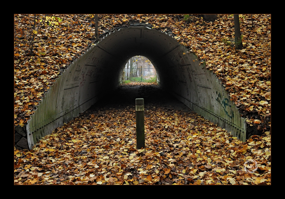 Herbsttunnel 1