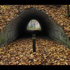 Herbsttunnel 1