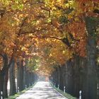 Herbsttunnel