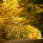 Herbsttunnel