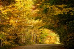 Herbsttunnel