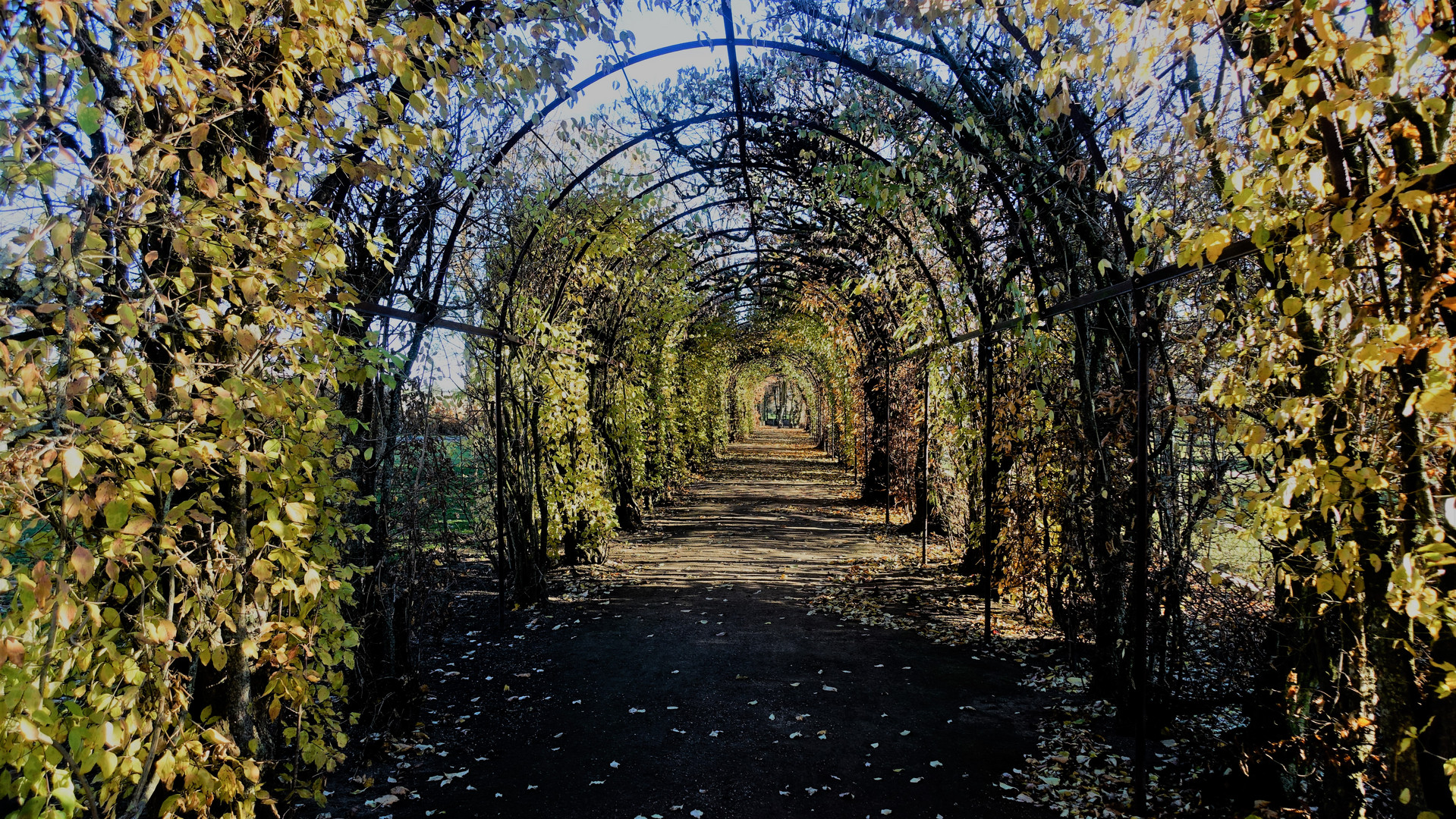 Herbsttunnel