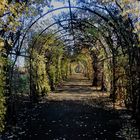 Herbsttunnel