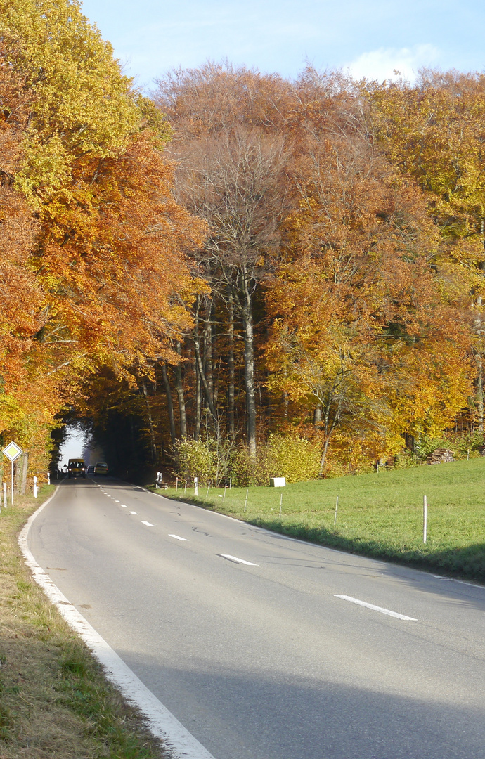 Herbsttunnel