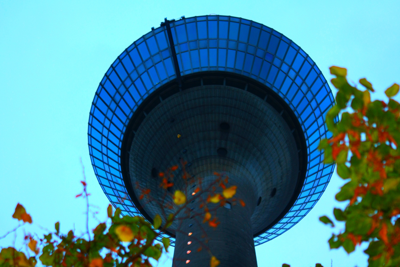 Herbstturm am Rhein