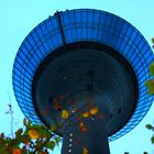 Herbstturm am Rhein