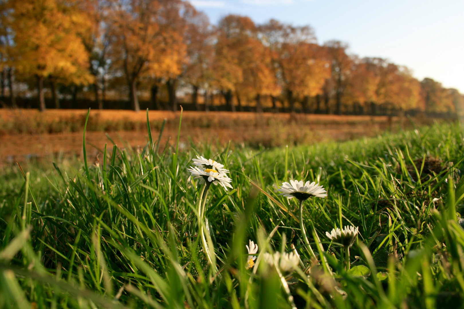 Herbstübergang