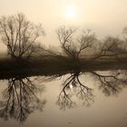 Herbstufer am Fluss