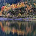 Herbstufer am vorderen Gosausee