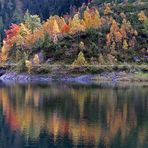 Herbstufer am vorderen Gosausee