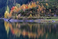 Herbstufer am vorderen Gosausee