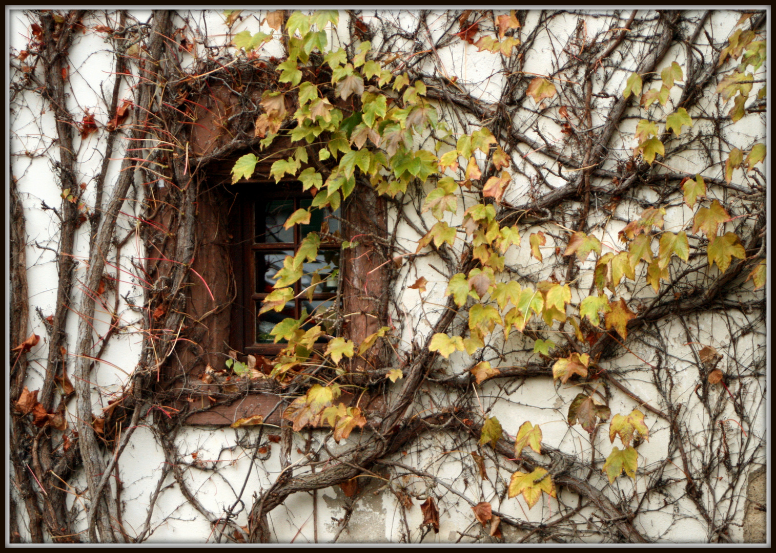 Herbstumschlungen