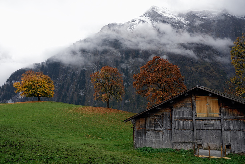 Herbst...und der Winter kommt ....