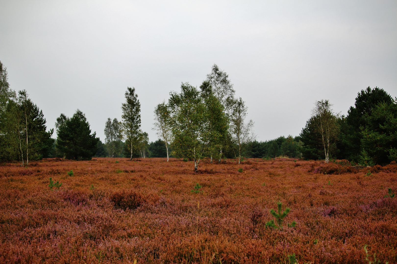 HERBSTURLAUB Lausitz 09/2016 ( Nr. 1 )