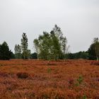 HERBSTURLAUB Lausitz 09/2016 ( Nr. 1 )