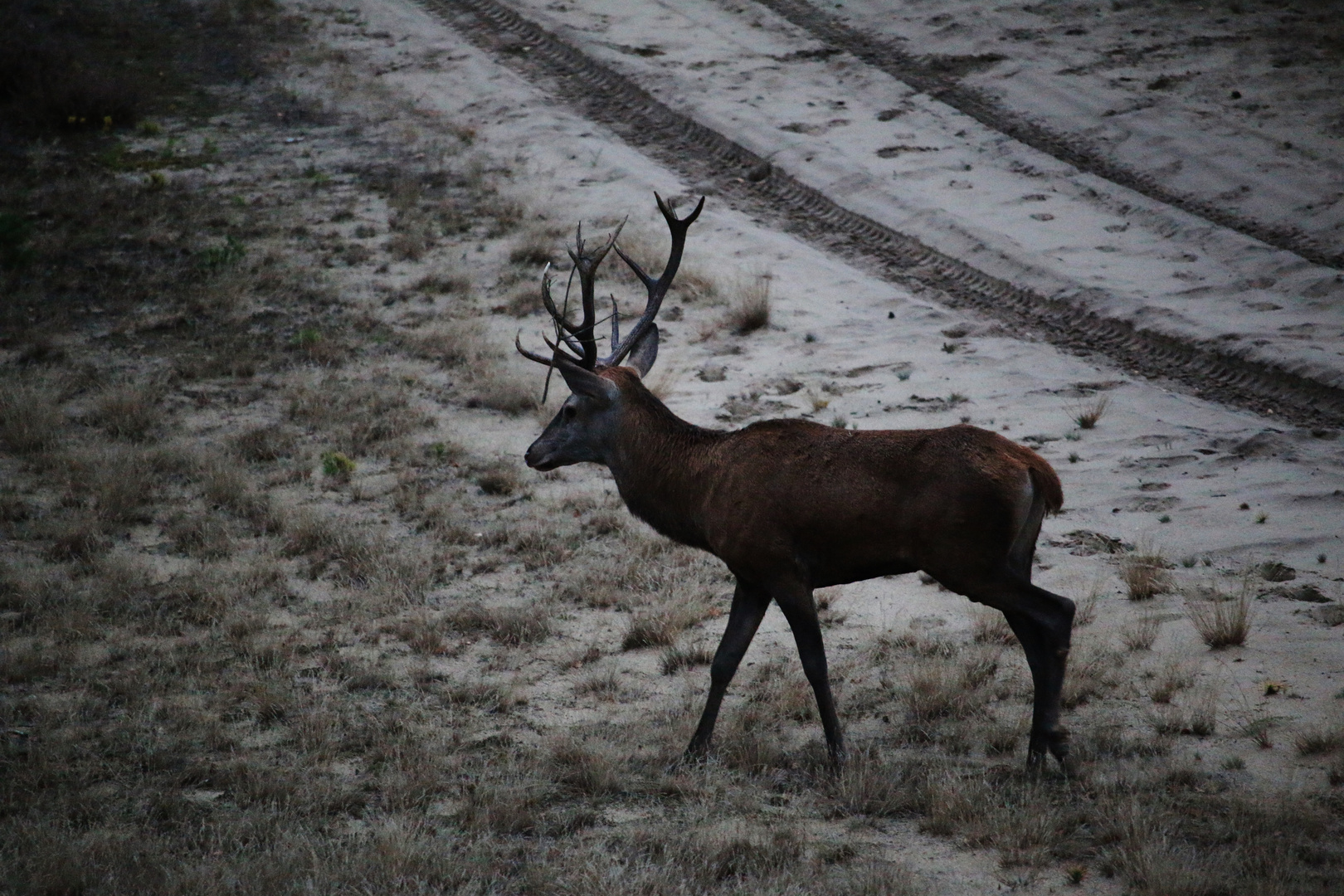 HERBSTURLAUB Lausitz/ 1