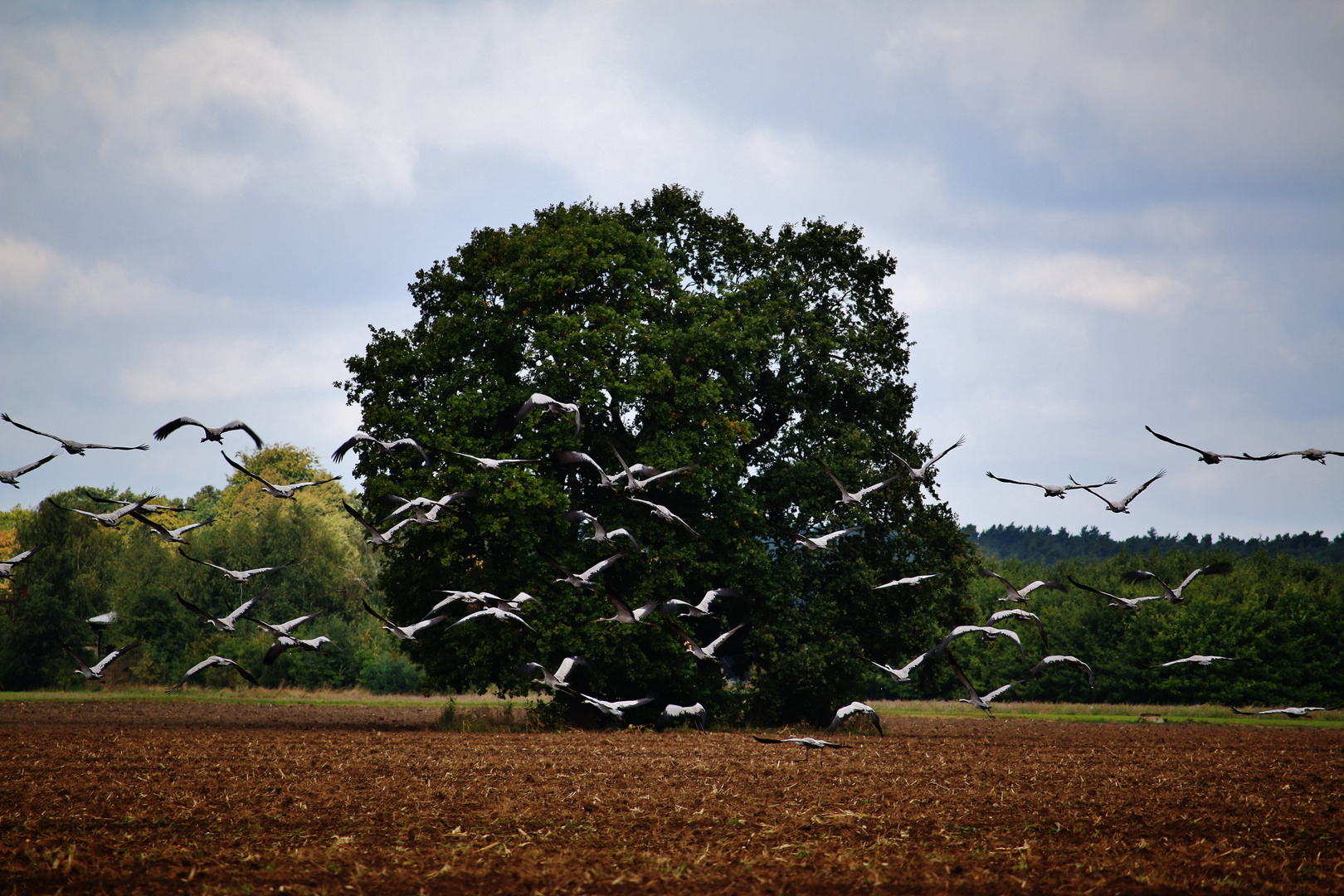 HERBSTURLAUB Lausitz/ 2