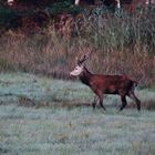 HERBSTURLAUB Lausitz/ 5