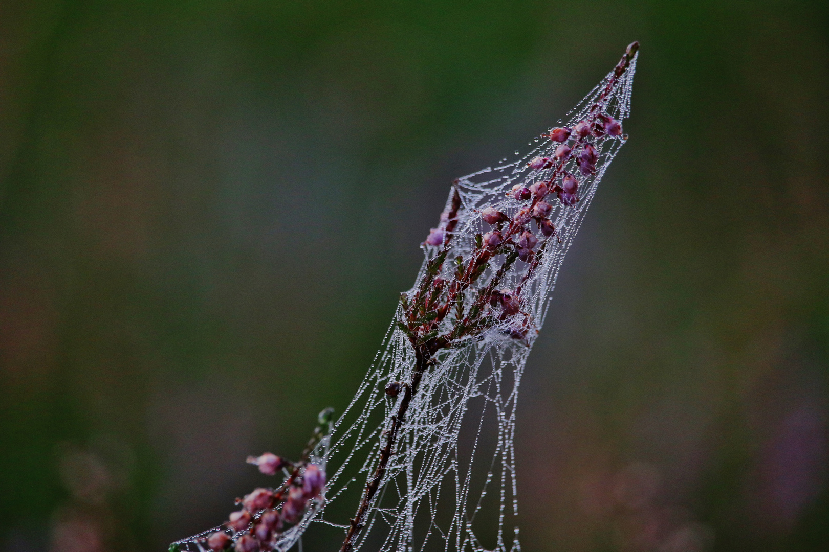 HERBSTURLAUB Lausitz/ 6