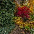 Herbstvegetation