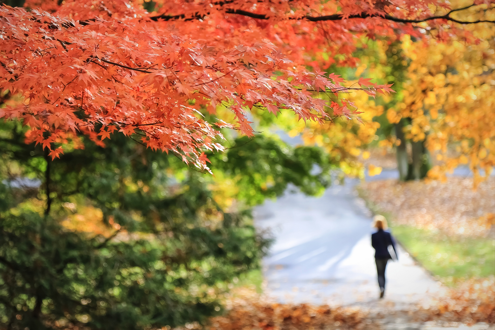 Herbstvergnügen