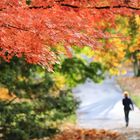 Herbstvergnügen