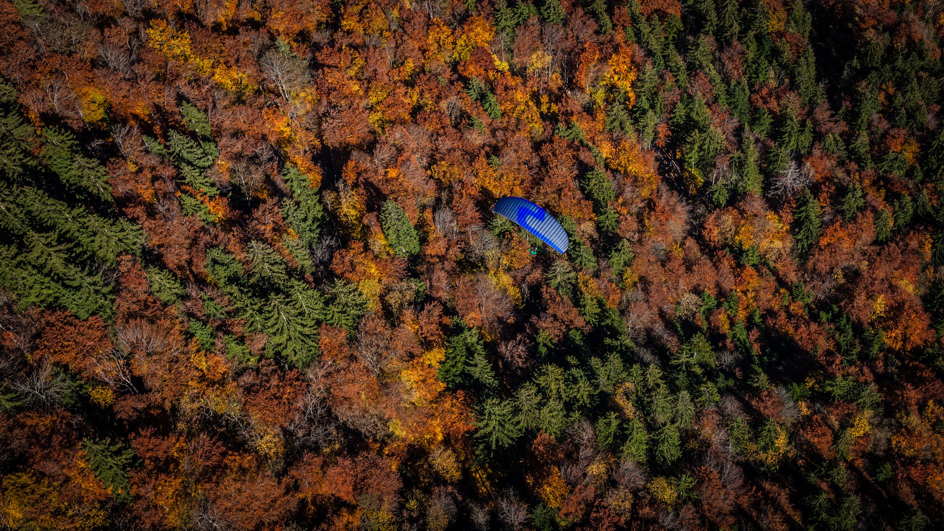 HERBSTVERGNÜGEN