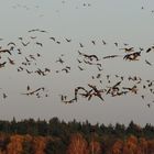 "Herbstversammlung 1"