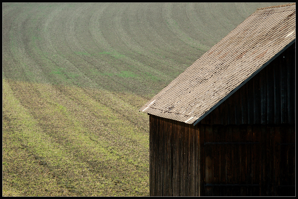 ~ ~ / ~ ~  (Herbstversion)