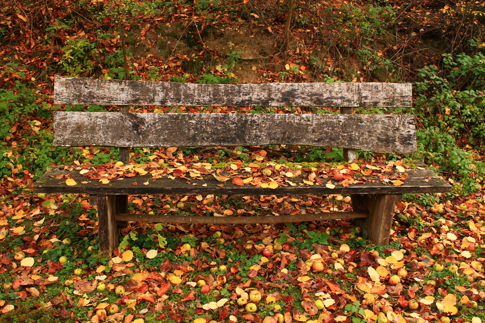 Herbstverweilen