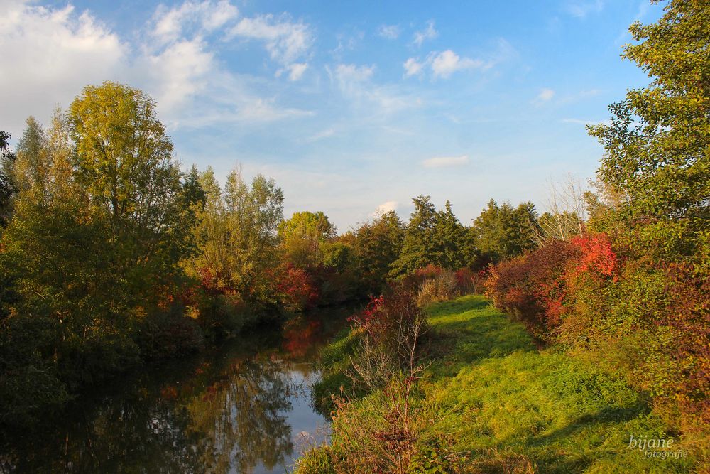 Herbstvielfalt