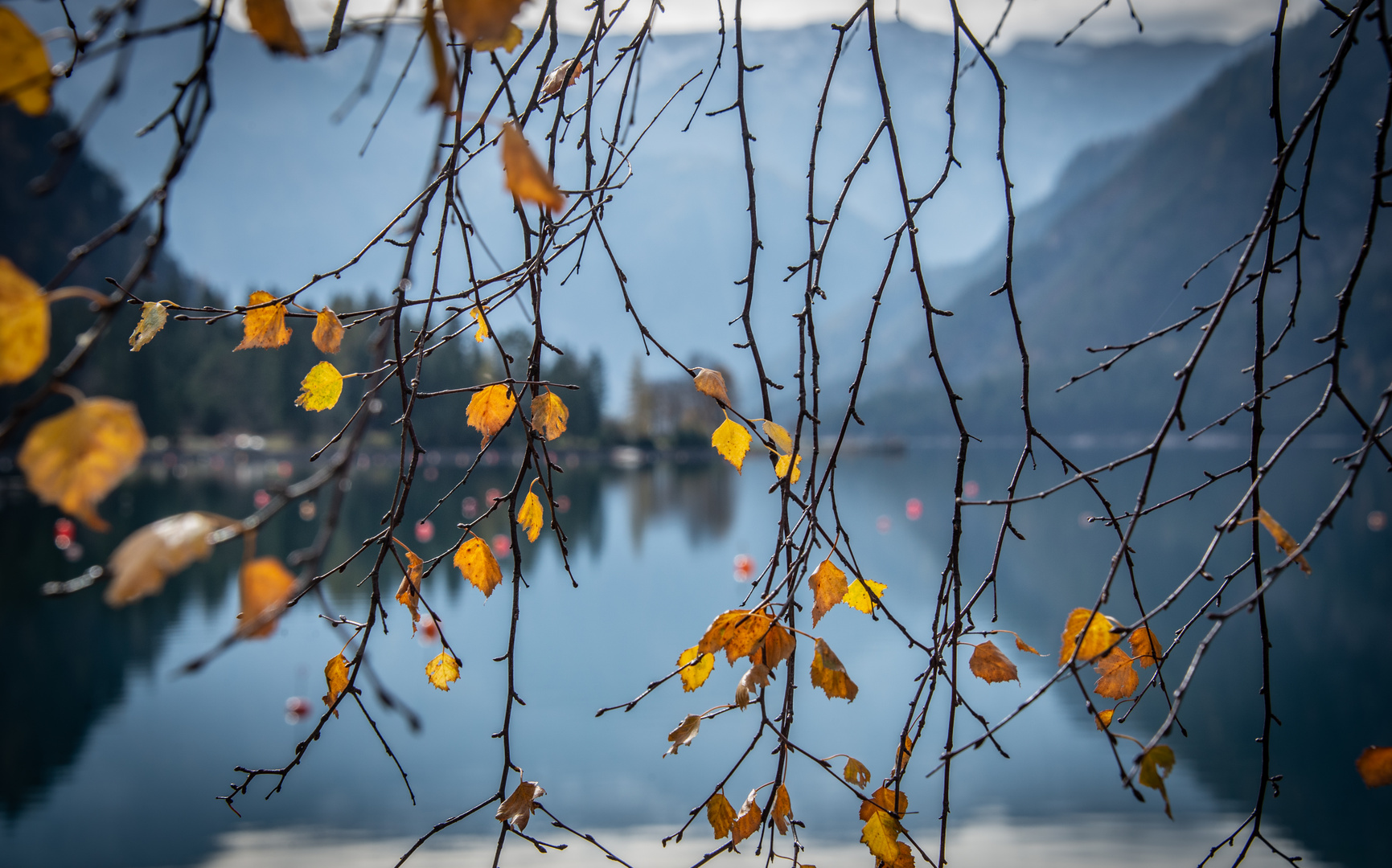 Herbstvorhang