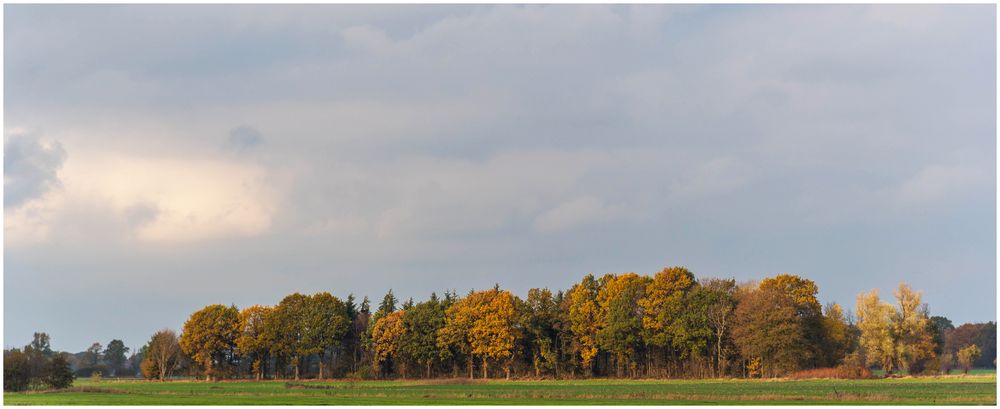 Herbstwäldchen