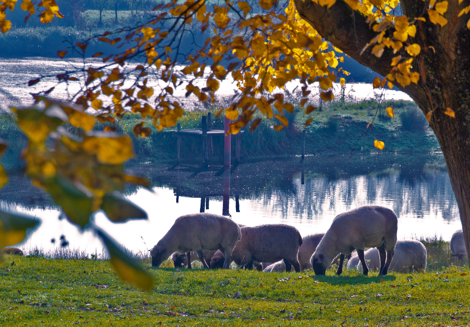 Herbstwärts