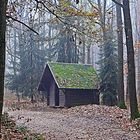 Herbstwald