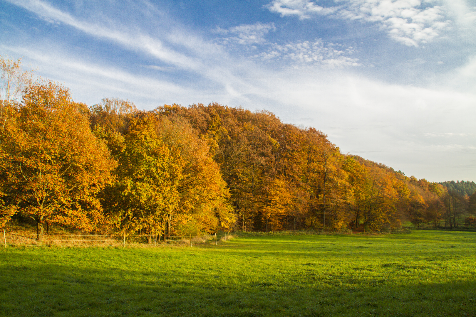 Herbstwald